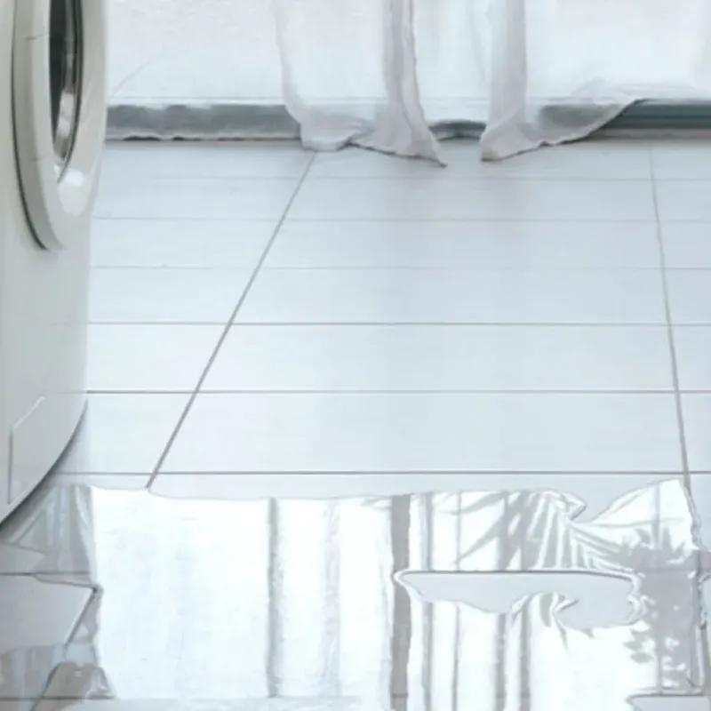 Appliance Leak Cleanup in Sanford, FL