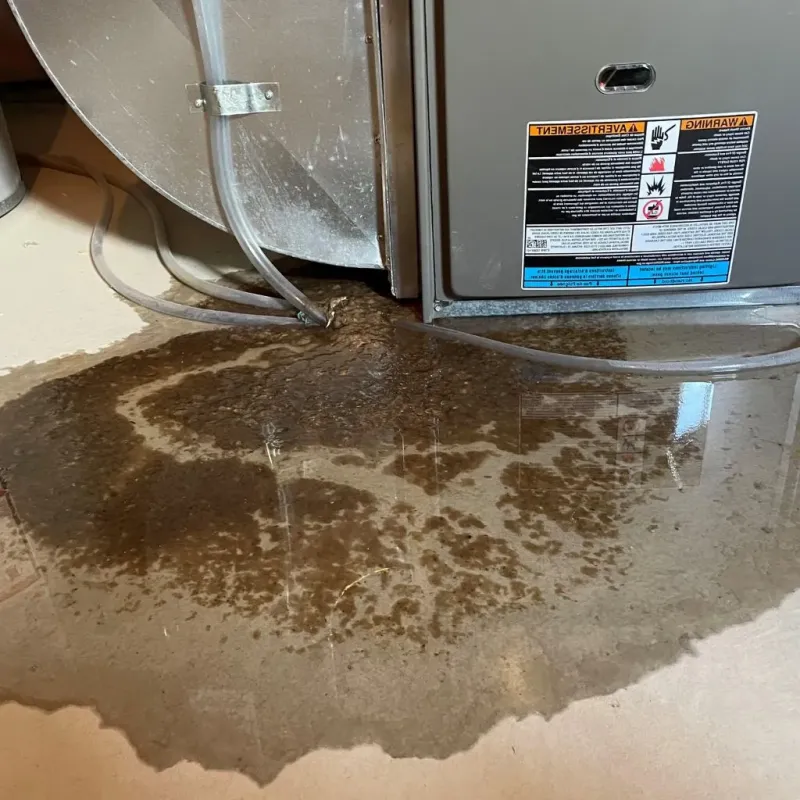 Pipe Burst and Leak Restoration in Sanford, FL